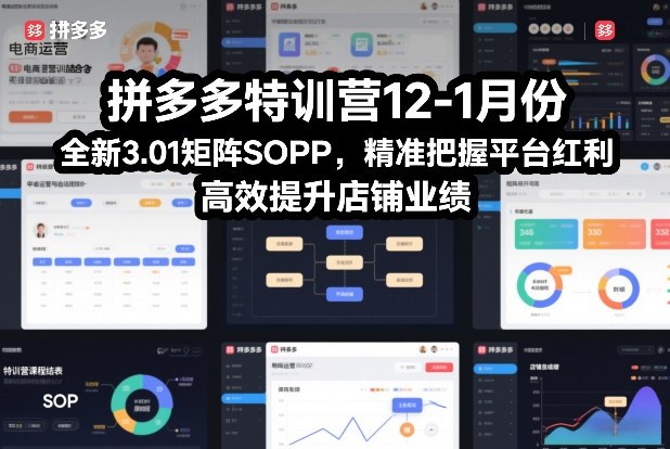 拼多多特训营12-1月份，全新3.01矩阵Sop，精准把握平台红利，高效提升店铺业绩-百货大全