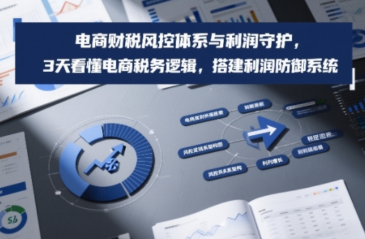 电商财税风控体系与利润守护，3天看懂电商税务逻辑，搭建利润防御系统-百货大全