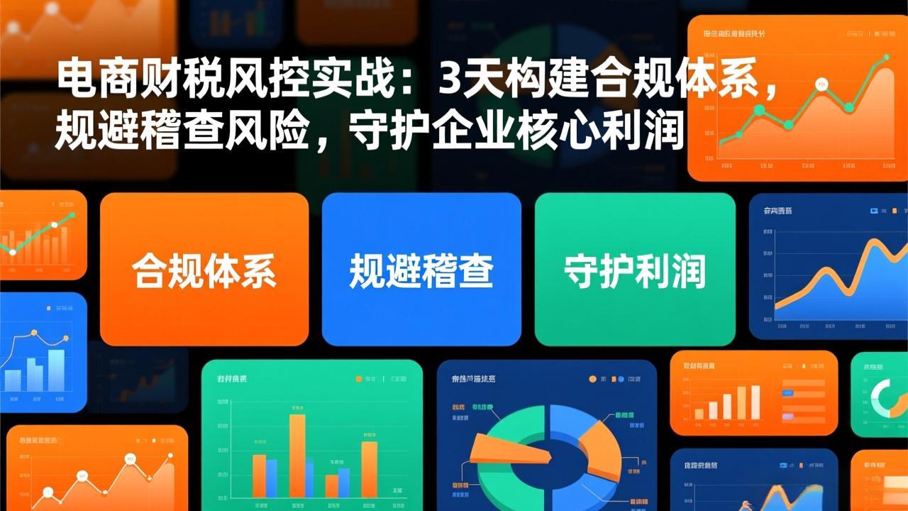 电商财税风控实战：3天构建合规体系，规避稽查风险，守护企业核心利润-百货大全