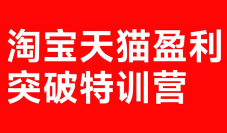玺承·淘宝天猫盈利突破特训营(25年12月线下课)【音频+字幕】-百货大全