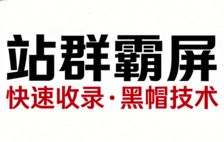 SEO野路子实战全集：快速收录、站群霸屏、黑帽技术(更新)-百货大全