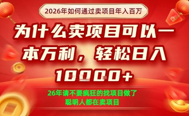 一单净利润1K+，26年想年入100个W，死磕卖项目就够了【揭秘】-百货大全