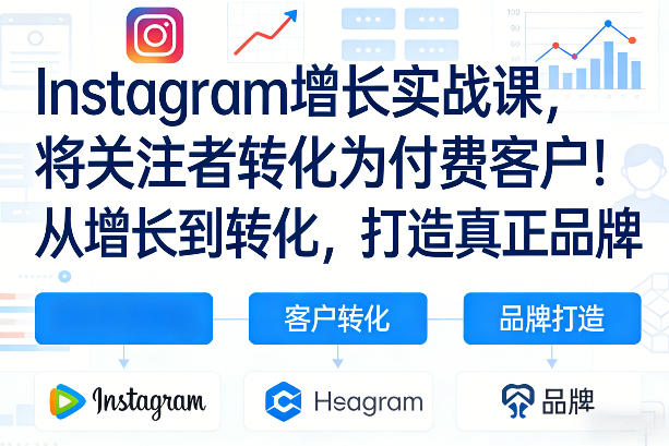 Instagram增长实战课，将关注者转化为付费客户！从增长到转化，打造真正品牌(双语字幕)-百货大全