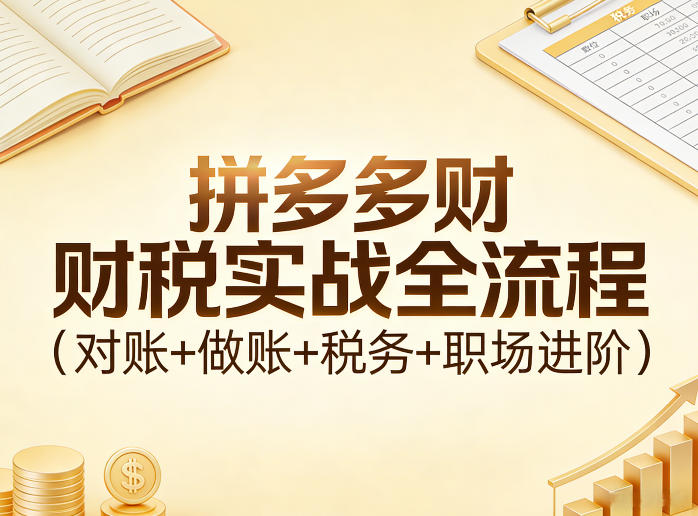 拼多多财税实战全流程(对账+做账+税务+职场进阶)-百货大全