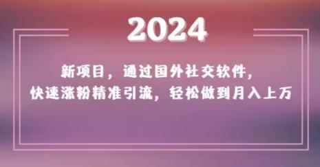 2024新项目，通过国外社交软件，快速涨粉精准引流，轻松做到月入上万【揭秘】-百货大全