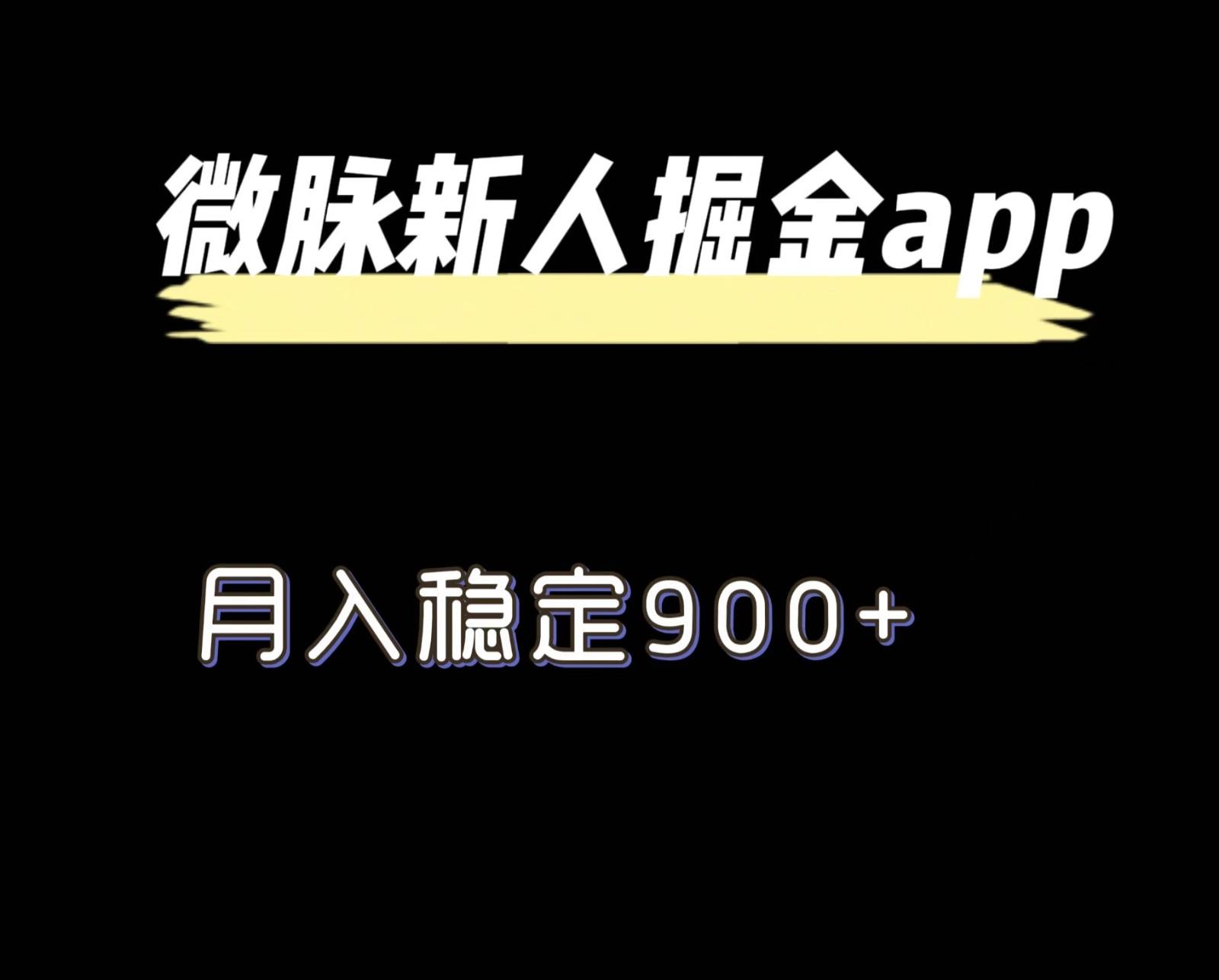 最新微脉长久项目，拉新掘金，月入稳定900+-百货大全