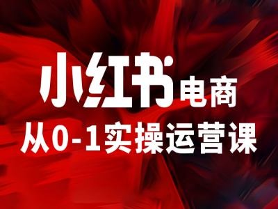 小红书电商从0-1实操运营课，让你从小白到精英-百货大全