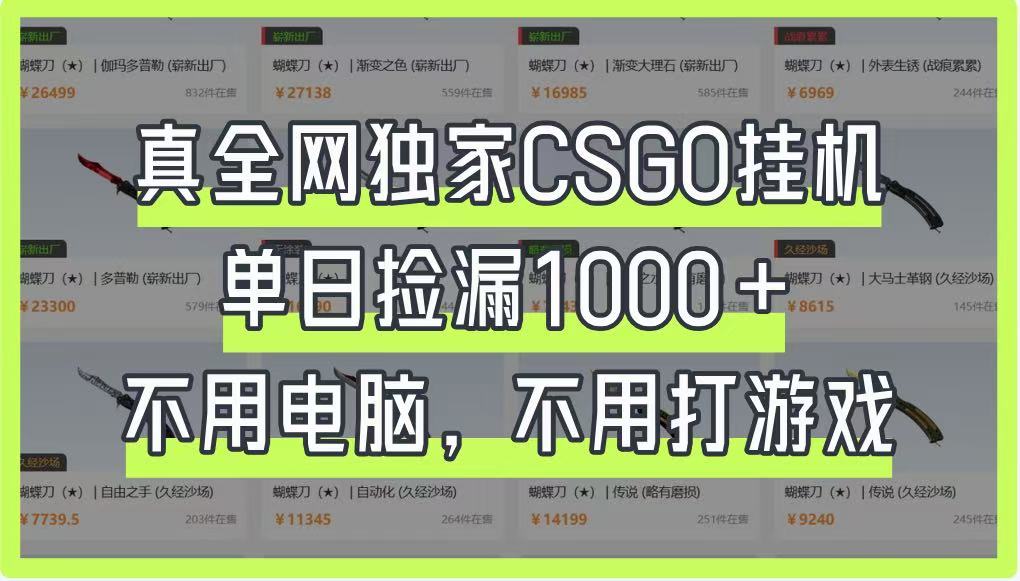 真全网独家CSGO挂机，单日捡漏1000+，不用电脑，不用养号-百货大全
