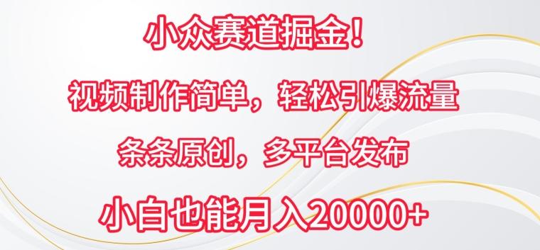 小众赛道掘金，视频制作简单，轻松引爆流量，条条原创，多平台发布【揭秘】-百货大全