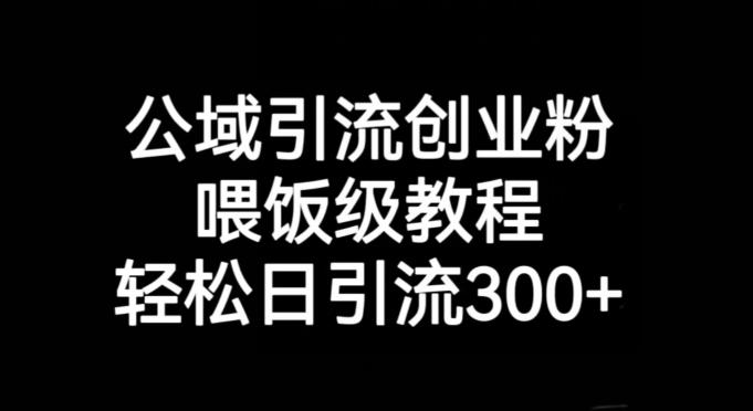 公域引流创业粉，喂饭级教程，轻松日引流300+【揭秘】-百货大全