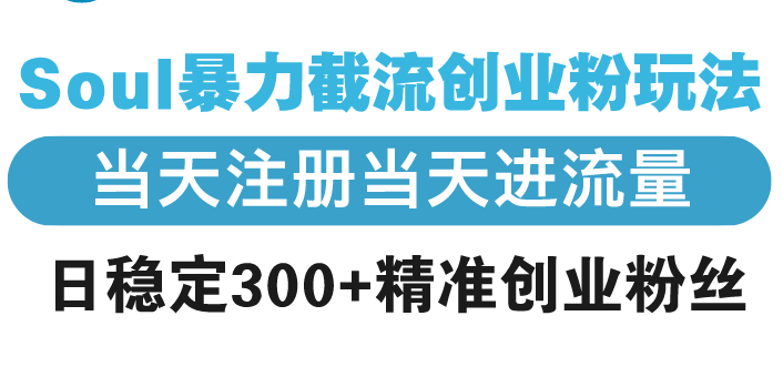 Soul暴力截流创业粉玩法，当天注册当天进流量，日稳定300+精准创业粉丝-百货大全