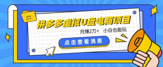 拼多多虚拟U盘电商红利项目：月赚2万+，新手小白也能玩-百货大全