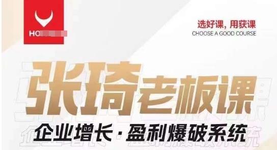 【组合课】张琦张琦老板企业增长·盈利爆破系统（直播专享）-百货大全