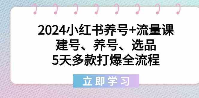 2024小红书养号+流量课：建号、养号、选品，5天多款打爆全流程-百货大全