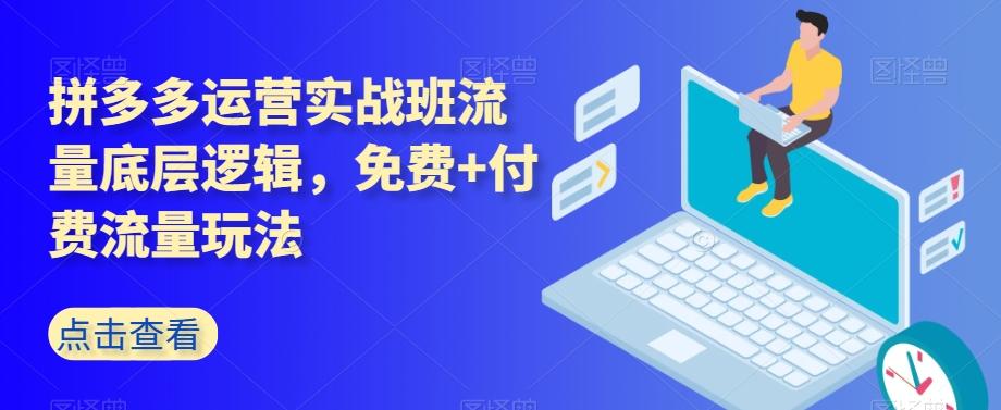 拼多多运营实战班流量底层逻辑，免费+付费流量玩法-百货大全