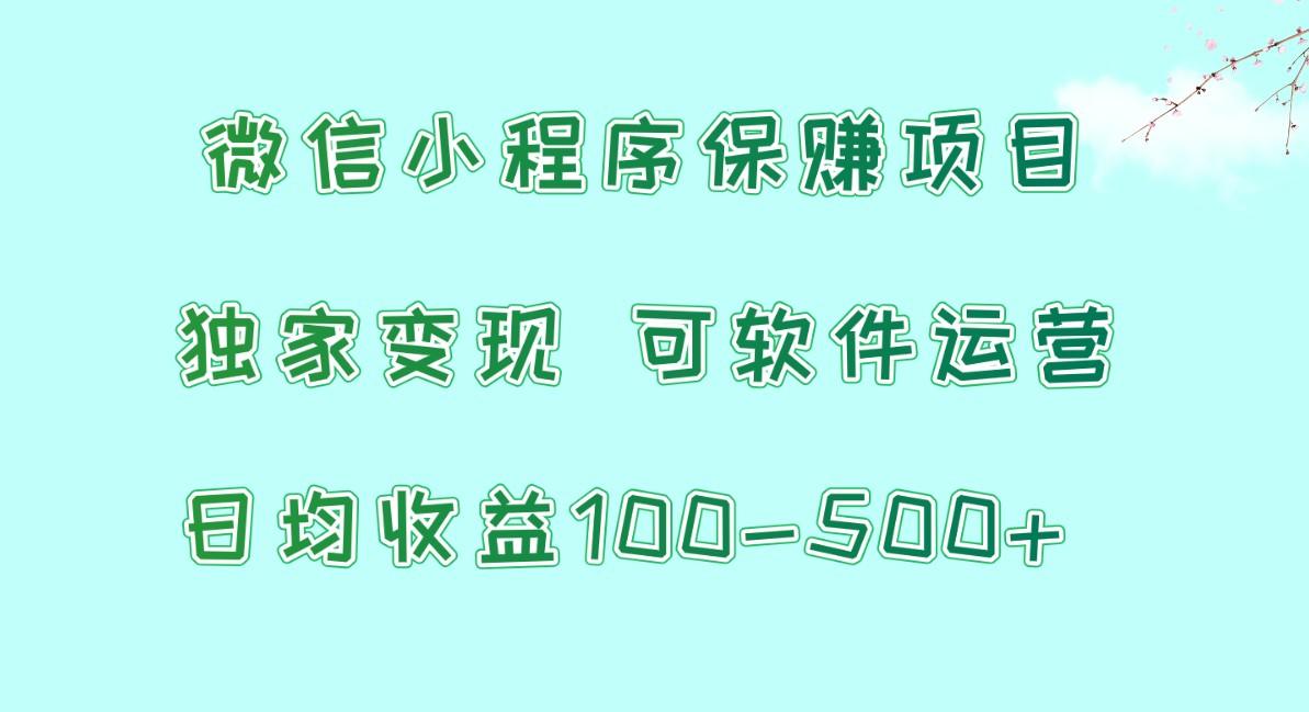 微信小程序保赚项目，日均收益100~500+，独家变现，可软件运营-百货大全