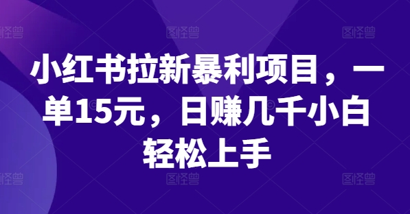 小红书拉新暴利项目，一单15元，日赚几千小白轻松上手【揭秘】-百货大全