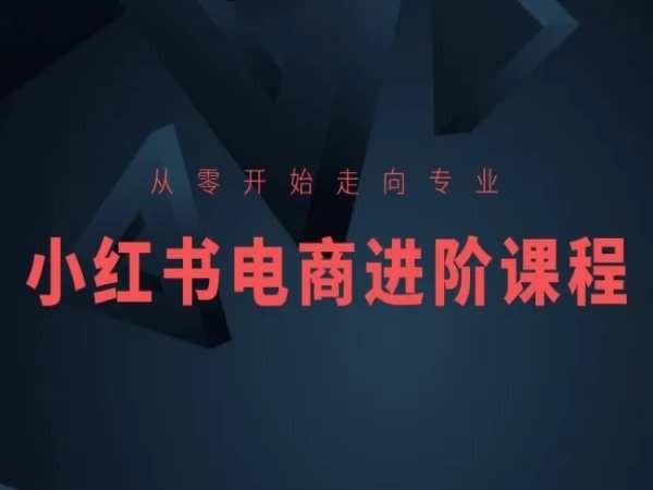 从零开始走向专业，小红书电商进阶课程-百货大全