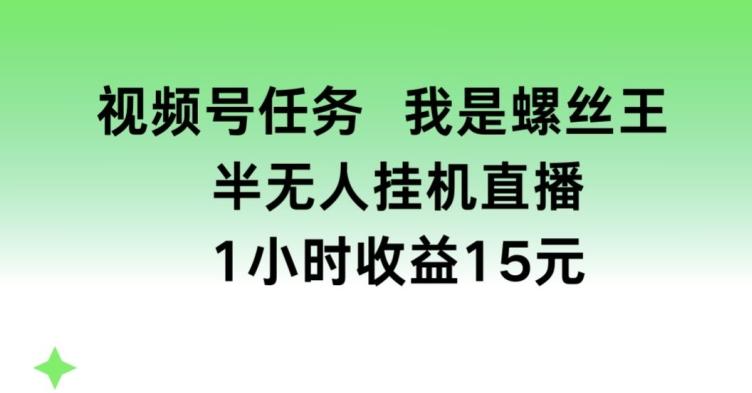 视频号任务，我是螺丝王， 半无人挂机1小时收益15元【揭秘】-百货大全