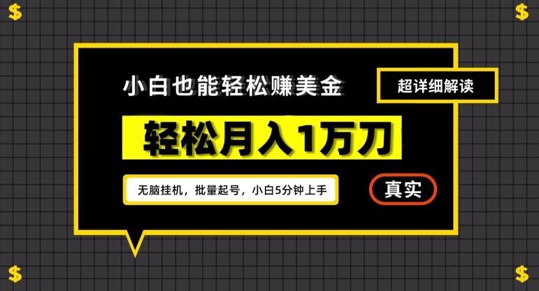 谷歌看广告撸美金2.0，无脑挂机，多号操作，月入1万刀【揭秘】-百货大全