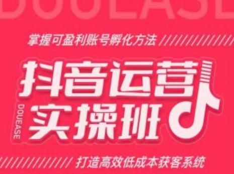 抖音运营实操班，掌握可盈利账号孵化方法，打造高效低成本获客系统-百货大全