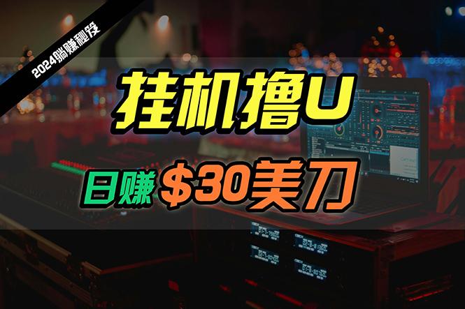 (10013期)日赚30美刀，2024最新海外挂机撸U内部项目，全程无人值守，可批量放大-百货大全