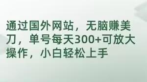 通过国外网站，无脑赚美刀，单号每天300+可放大操作，小白轻松上手【揭秘】-百货大全