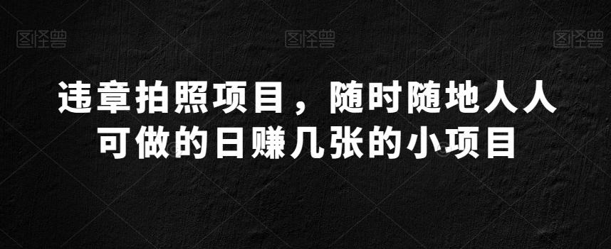 违章拍照项目，随时随地人人可做的日赚几张的小项目-百货大全