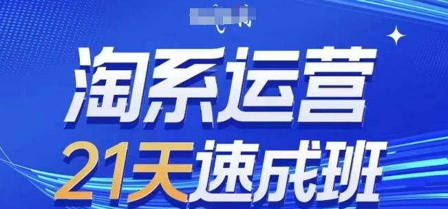 淘系运营21天速成班(更新24年6月)，0基础轻松搞定淘系运营，不做假把式-百货大全