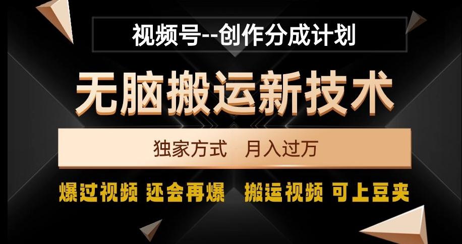 视频号无脑搬运新技术，破原创壕流量，独家方式，爆过视频，还会再爆【揭秘】-百货大全
