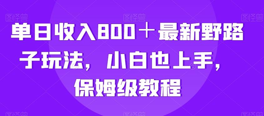 单日收入800＋最新野路子玩法，小白也上手，保姆级教程-百货大全
