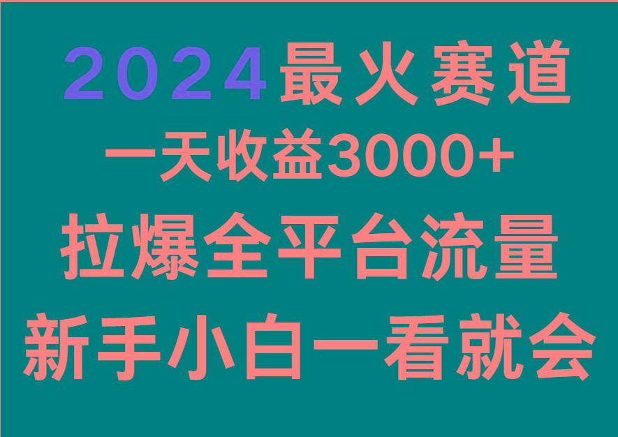 2024最火赛道，一天收一3000+.拉爆全平台流量，新手小白一看就会-百货大全