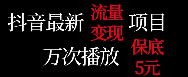 抖音流量变现，万次播放保底5元，额外收入-百货大全