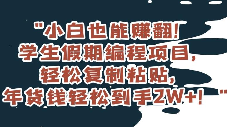 小白也能赚翻！学生假期编程项目，轻松复制粘贴，年货钱轻松到手2W+【揭秘】-百货大全
