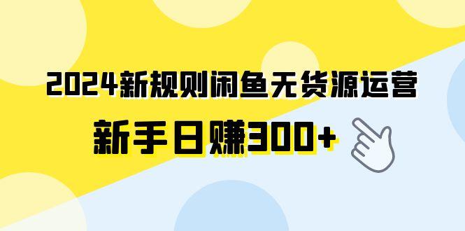 (9522期)2024新规则闲鱼无货源运营新手日赚300+-百货大全