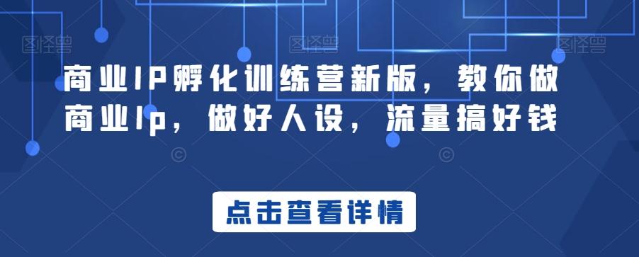 商业IP孵化训练营新版，教你做商业Ip，做好人设，流量搞好钱-百货大全