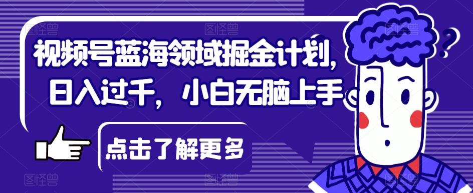视频号蓝海领域掘金计划，日入过千，小白无脑上手【揭秘】-百货大全