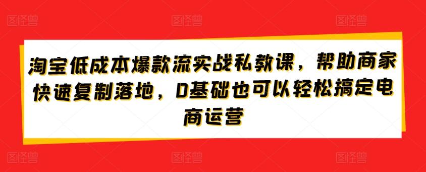淘宝低成本爆款流实战私教课，帮助商家快速复制落地，0基础也可以轻松搞定电商运营-百货大全