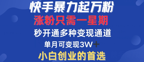 快手暴力起万粉，涨粉只需一星期，多种变现模式，直接秒开万合，单月变现过W【揭秘】-百货大全