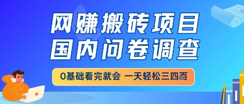 网创搬砖项目，国内问卷调查，小白轻松上手，一天三四张的也不难，干就完了【揭秘】-百货大全