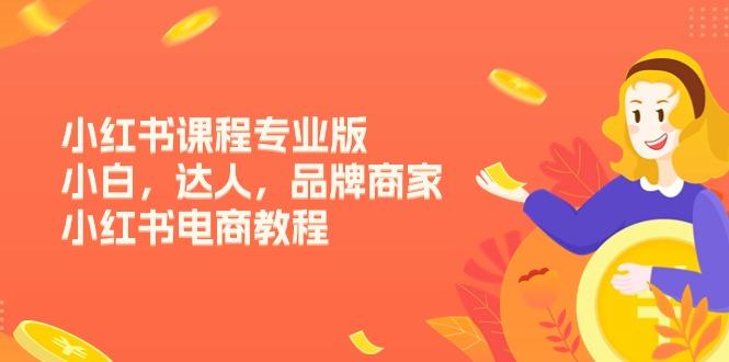 小红书课程专业版，小白，达人，品牌商家，小红书电商教程(15节-百货大全