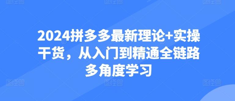 2024拼多多最新理论+实操干货，从入门到精通全链路多角度学习-百货大全