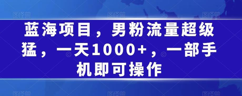 蓝海项目，男粉流量超级猛，一天1000+，一部手机即可操作【揭秘】-百货大全