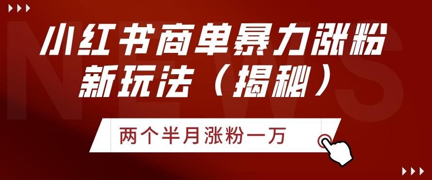 小红书商单暴力涨粉新玩法两个半月涨粉一万（揭秘）-百货大全