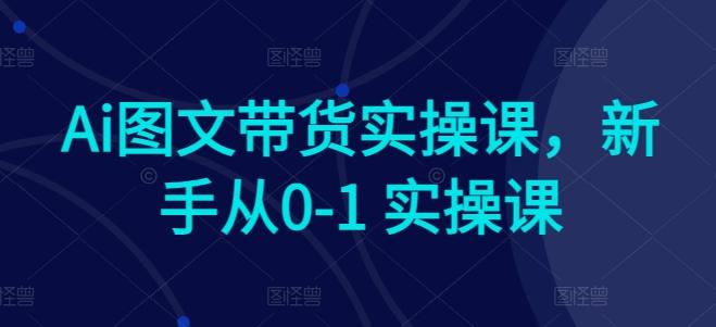 Ai图文带货实操课，新手从0-1 实操课-百货大全
