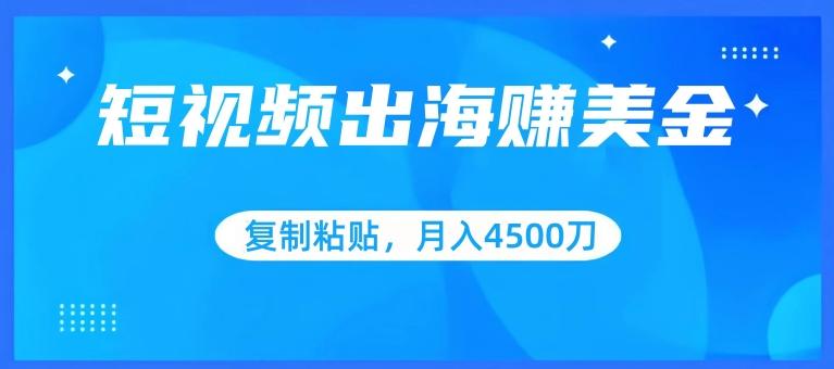 短视频出海赚美金，复制粘贴批量操作，小白轻松掌握，月入4500美刀【揭秘】-百货大全