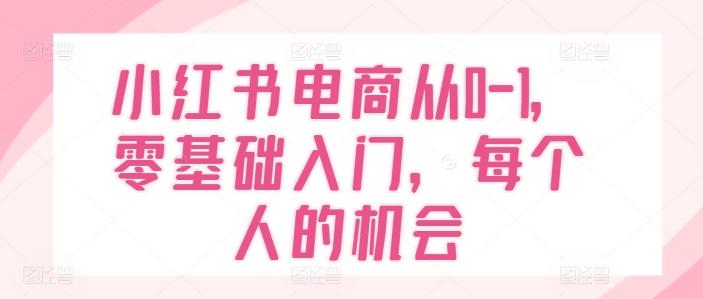 小红书电商从0-1，零基础入门，每个人的机会-百货大全