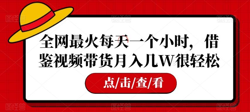 全网最火每天一个小时，借鉴视频带货月入几W很轻松【揭秘】-百货大全