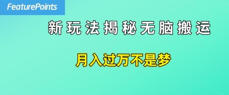 简单操作，每天50美元收入，搬运就是赚钱的秘诀【揭秘】-百货大全