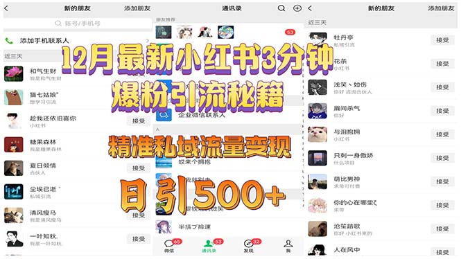 12月最新小红书3分钟爆粉引流秘籍 精准私域流量变现 日引500+-百货大全
